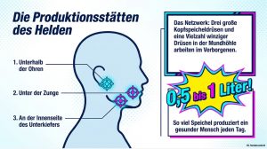 Superkraft Speichel3